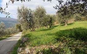 B&B Le Fornaci